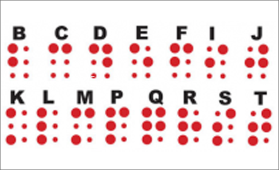 Braille Teaching Program